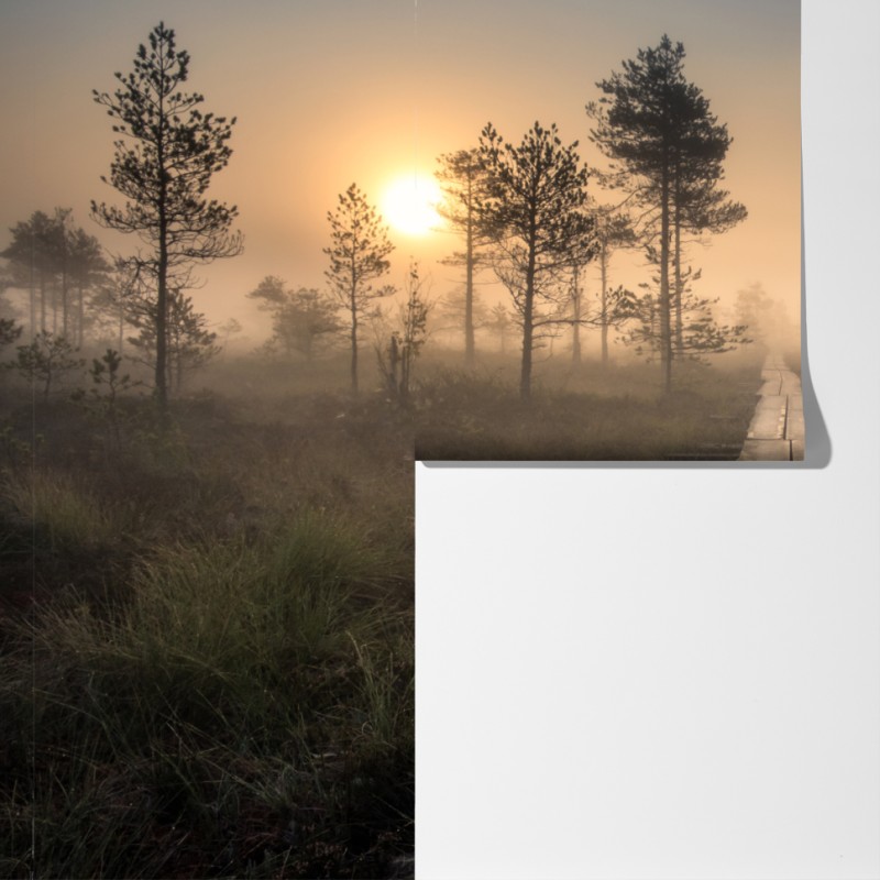 Fototapeta mglisty wschód słońca nad drewnianą kładką – Wallissimo® Fototapeta mglisty wschód słońca nad drewnianą kładką – Wallissimo®