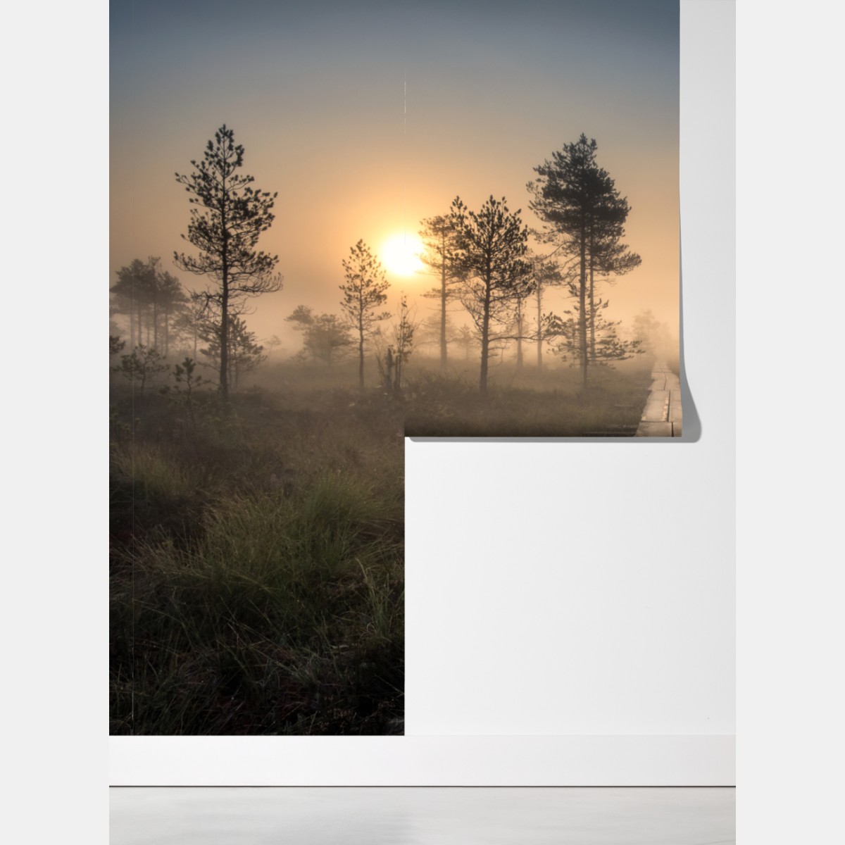 Fototapeta mglisty wschód słońca nad drewnianą kładką – Wallissimo® Fototapeta mglisty wschód słońca nad drewnianą kładką – Wallissimo®