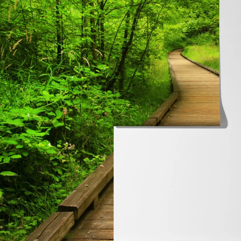 Fototapeta spokojny drewniany pomost w lesie – Wallissimo® Fototapeta spokojny drewniany pomost w lesie – Wallissimo®