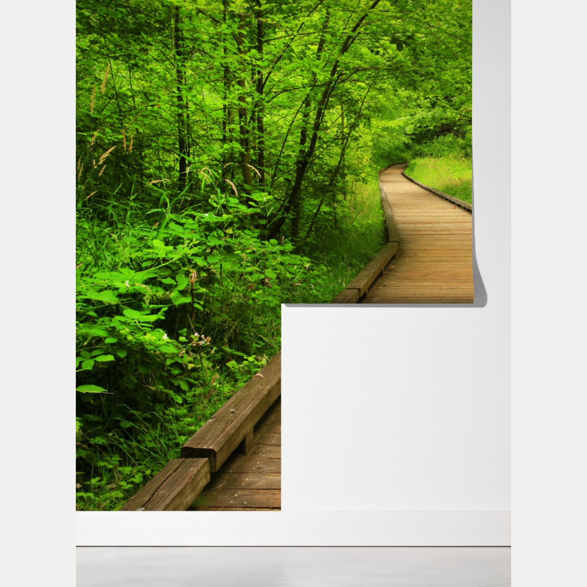 Fototapeta spokojny drewniany pomost w lesie – Wallissimo® Fototapeta spokojny drewniany pomost w lesie – Wallissimo®