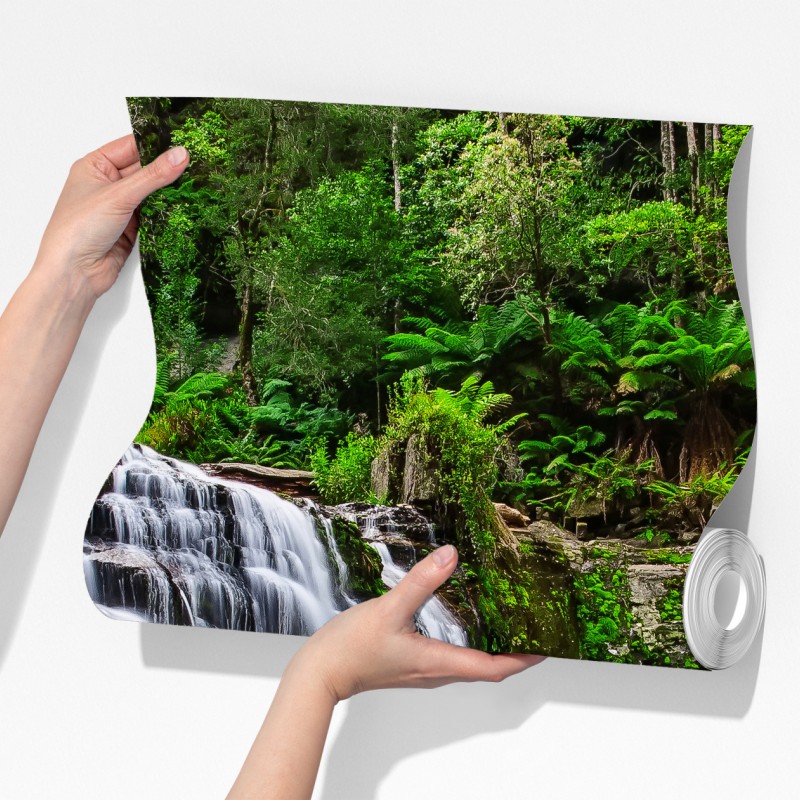 Fototapeta wodospad Liffey Falls w bujnym lesie Tasmanii – Wallissimo® Fototapeta wodospad Liffey Falls w bujnym lesie Tasmanii – Wallissimo®