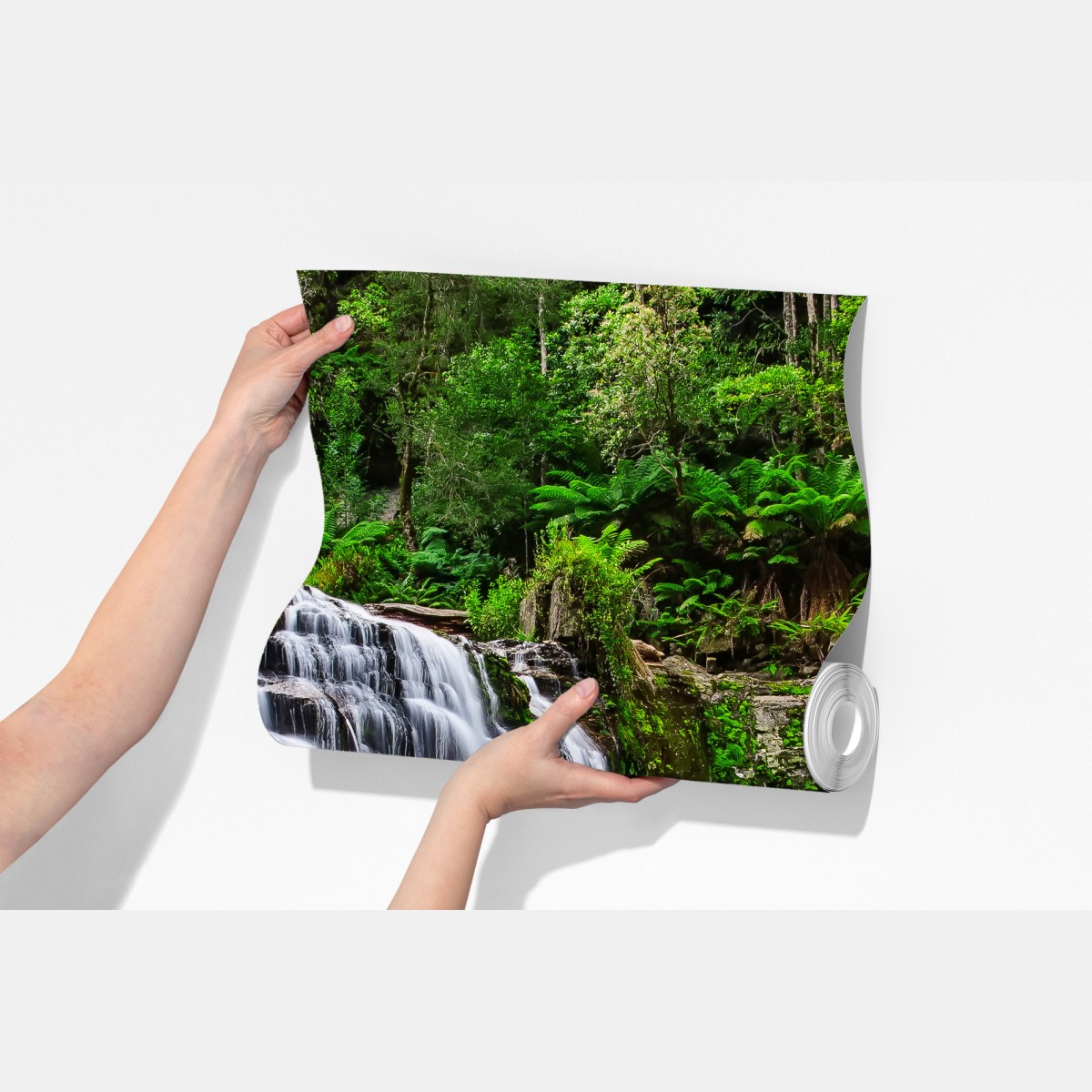 Fototapeta wodospad Liffey Falls w bujnym lesie Tasmanii – Wallissimo® Fototapeta wodospad Liffey Falls w bujnym lesie Tasmanii – Wallissimo®