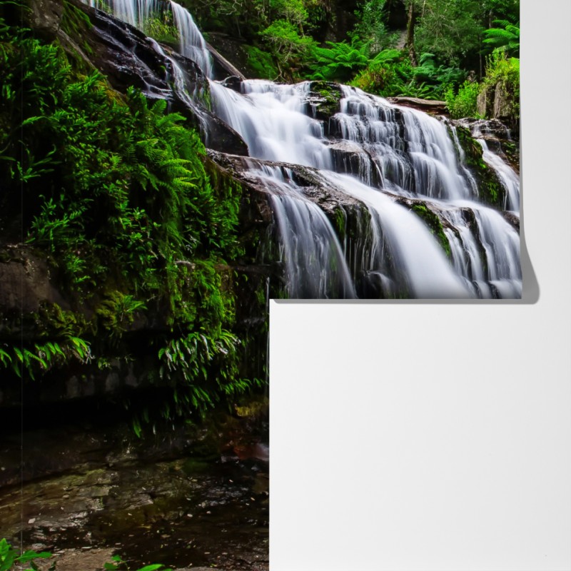 Fototapeta wodospad Liffey Falls w bujnym lesie Tasmanii – Wallissimo® Fototapeta wodospad Liffey Falls w bujnym lesie Tasmanii – Wallissimo®