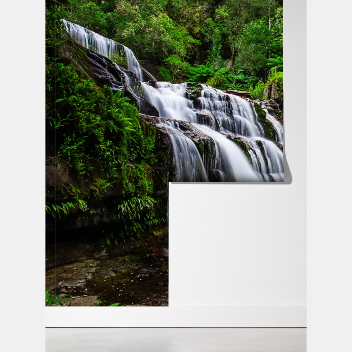 Fototapeta wodospad Liffey Falls w bujnym lesie Tasmanii – Wallissimo® Fototapeta wodospad Liffey Falls w bujnym lesie Tasmanii – Wallissimo®