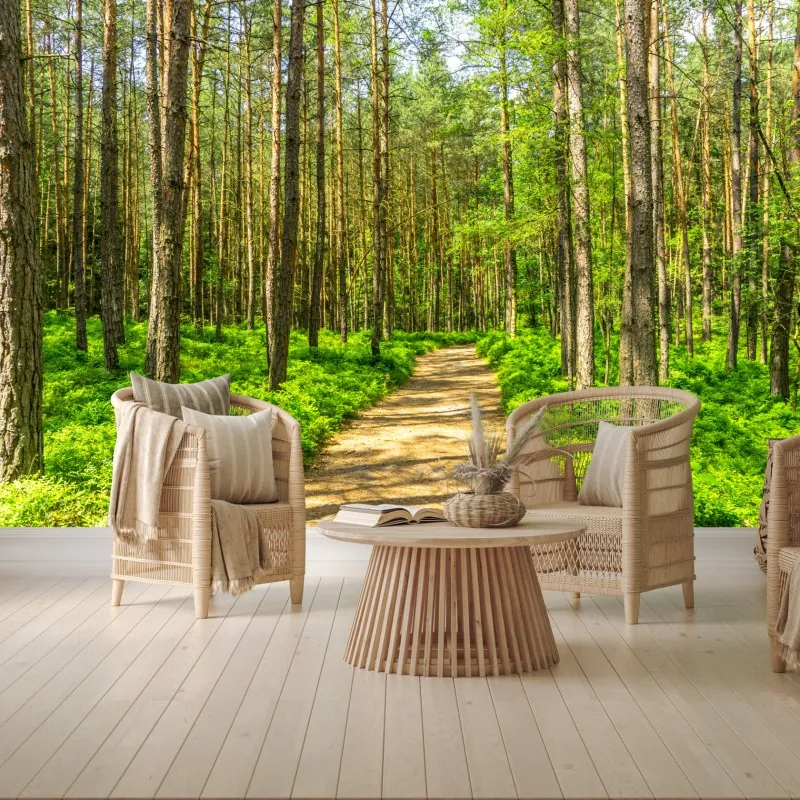 Fototapeta słoneczna leśna ścieżka wśród sosen