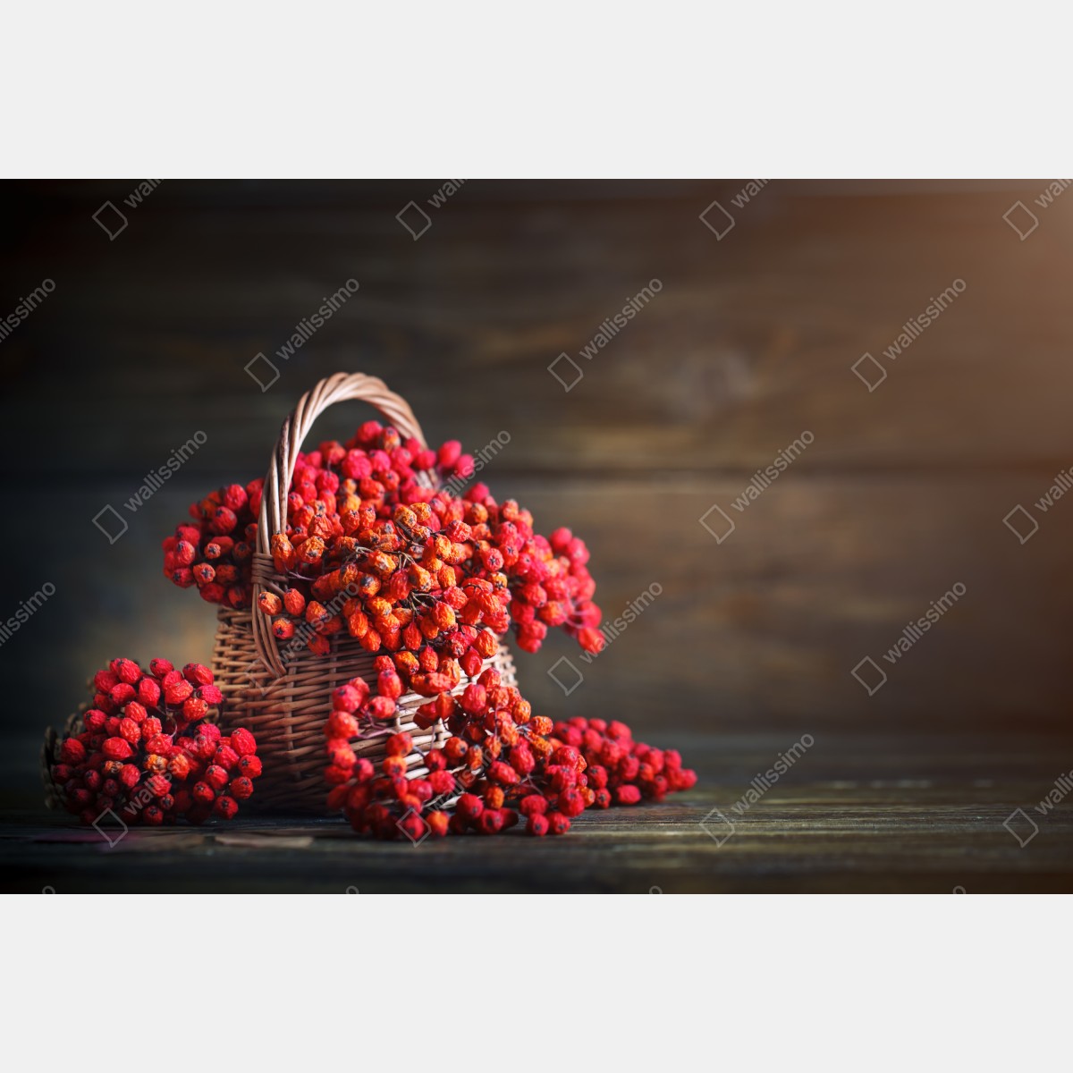 Fototapeta jesienna jarzębina w wiklinowym koszu – Wallissimo® Fototapeta jesienna jarzębina w wiklinowym koszu – Wallissimo®