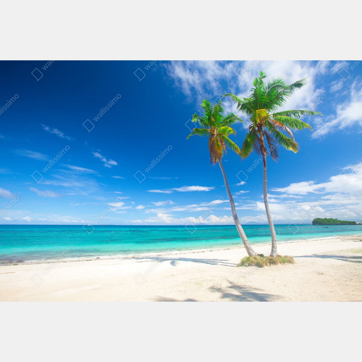 Fototapeta tropikalne palmy na turkusowej plaży – Wallissimo® Fototapeta tropikalne palmy na turkusowej plaży – Wallissimo®