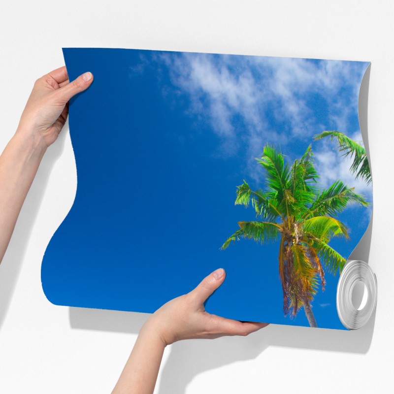 Fototapeta tropikalne palmy na turkusowej plaży – Wallissimo® Fototapeta tropikalne palmy na turkusowej plaży – Wallissimo®