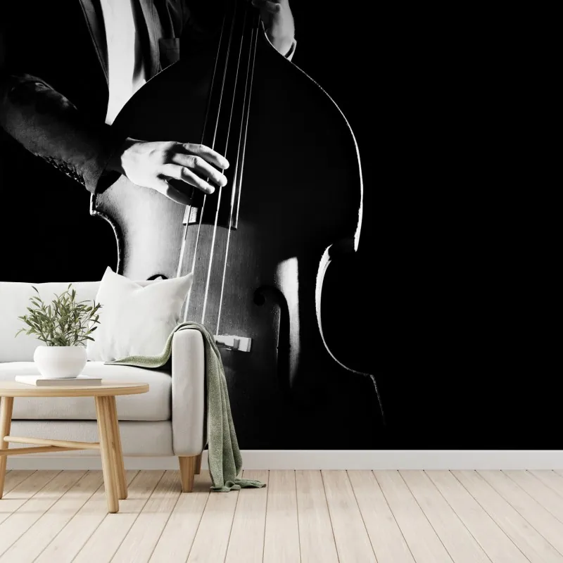Fototapeta kontrabasista w dramatycznym świetle