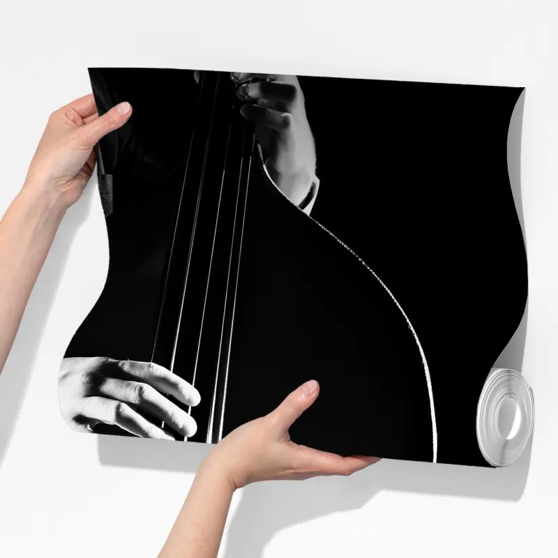 Fototapeta kontrabasista w dramatycznym świetle – Wallissimo® Fototapeta kontrabasista w dramatycznym świetle – Wallissimo®