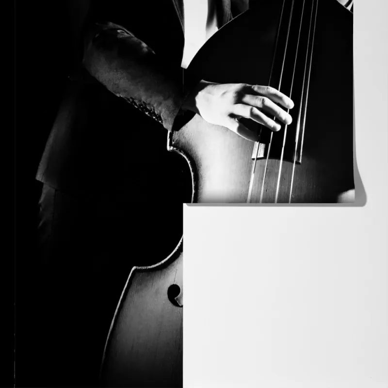 Fototapeta kontrabasista w dramatycznym świetle – Wallissimo® Fototapeta kontrabasista w dramatycznym świetle – Wallissimo®