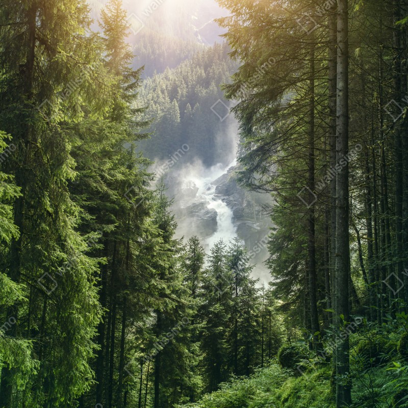 Fototapeta Krimml wodospad w bujnym alpejskim lesie – Wallissimo® Fototapeta Krimml wodospad w bujnym alpejskim lesie – Wallissimo®