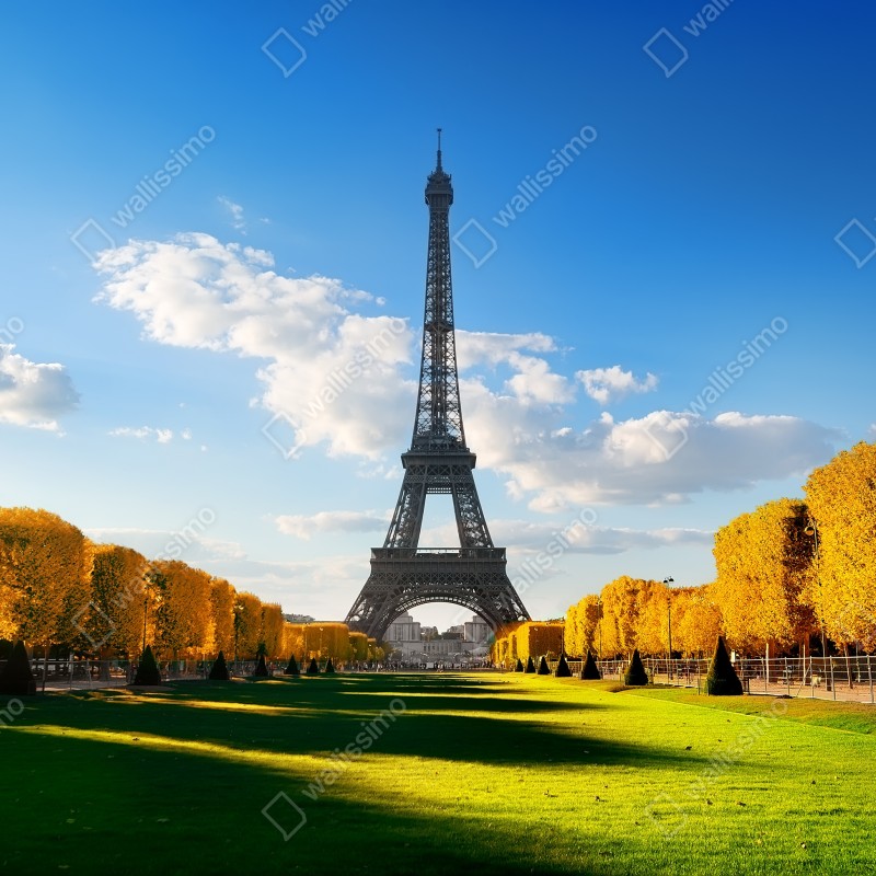 Fototapeta wiosna na Champs de Mars, Wieża Eiffla, Paryż – Wallissimo® Fototapeta wiosna na Champs de Mars, Wieża Eiffla, Paryż – Wallissimo®