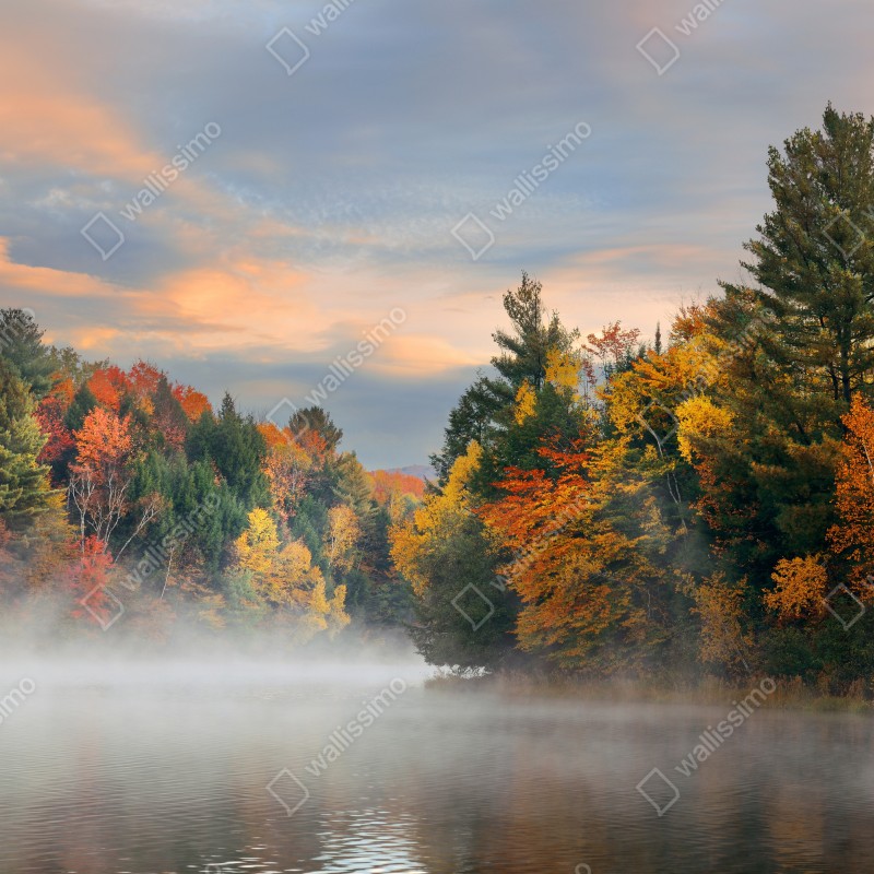 Fototapeta mglisty jesienny poranek w Stowe – Wallissimo® Fototapeta mglisty jesienny poranek w Stowe – Wallissimo®