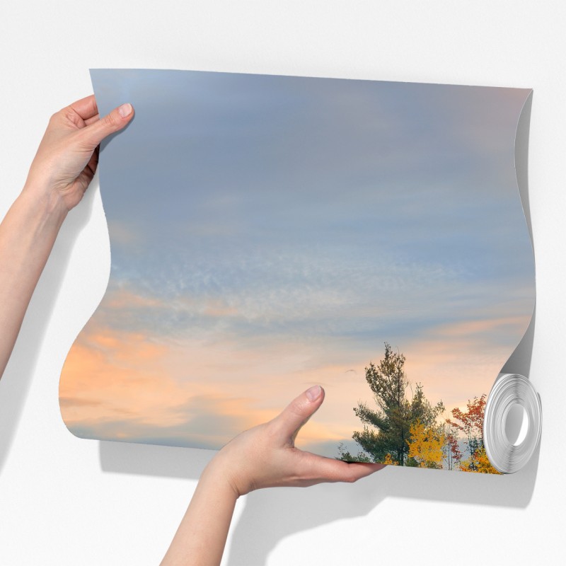 Fototapeta mglisty jesienny poranek w Stowe – Wallissimo® Fototapeta mglisty jesienny poranek w Stowe – Wallissimo®