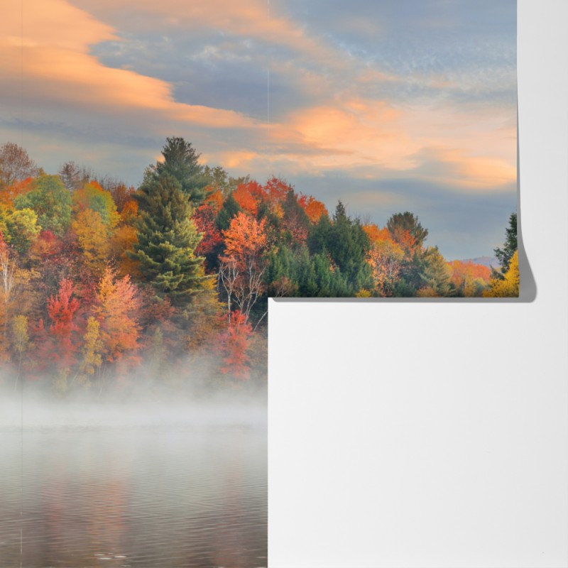 Fototapeta mglisty jesienny poranek w Stowe – Wallissimo® Fototapeta mglisty jesienny poranek w Stowe – Wallissimo®