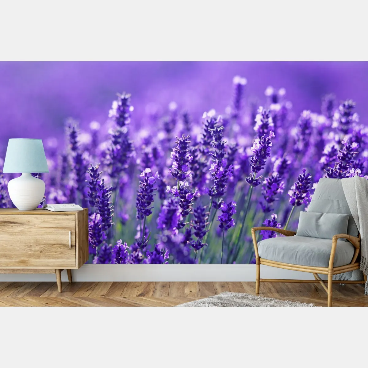 Fototapeta zbliżenie pola lawendy – Wallissimo® Fototapeta zbliżenie pola lawendy – Wallissimo®