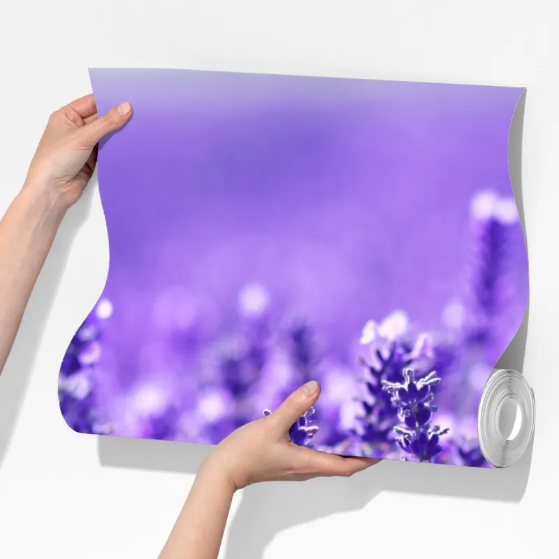 Fototapeta zbliżenie pola lawendy – Wallissimo® Fototapeta zbliżenie pola lawendy – Wallissimo®