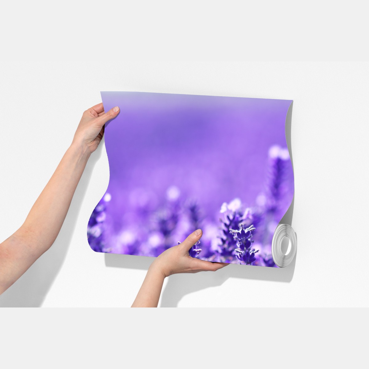 Fototapeta zbliżenie pola lawendy – Wallissimo® Fototapeta zbliżenie pola lawendy – Wallissimo®