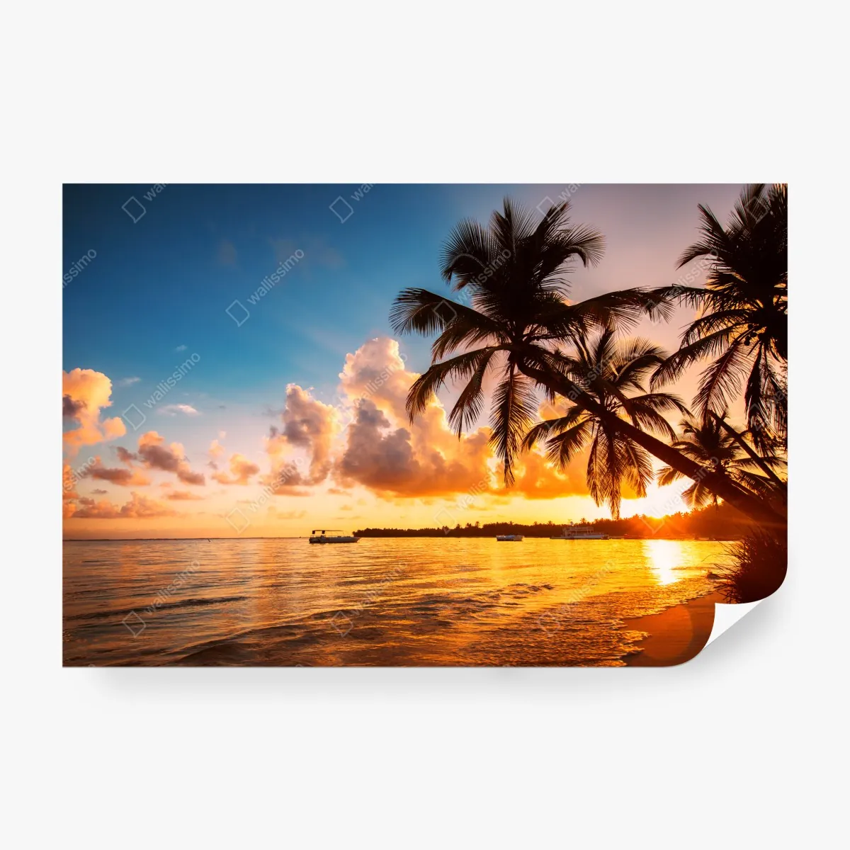 Fototapeta tropikalny zachód słońca z sylwetkami palm, Dominikana – Wallissimo® Fototapeta tropikalny zachód słońca z sylwetkami palm, Dominikana – Wallissimo®