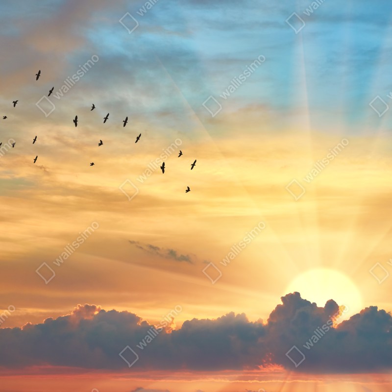 Fototapeta złoty wschód słońca nad chmurami – Wallissimo® Fototapeta złoty wschód słońca nad chmurami – Wallissimo®