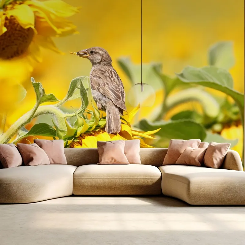 Fototapeta wróbel na słoneczniku – Wallissimo® Fototapeta wróbel na słoneczniku – Wallissimo®