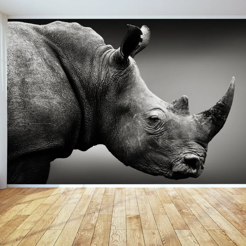 Fototapeta majestatyczny portret nosorożca