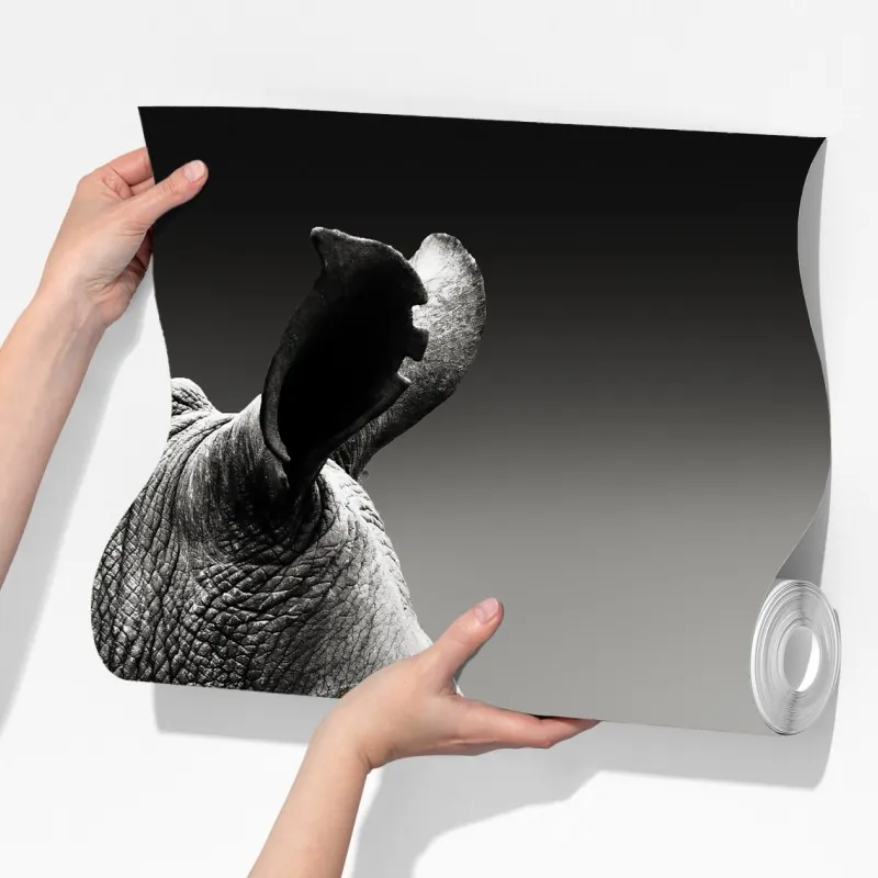 Fototapeta majestatyczny portret nosorożca – Wallissimo® Fototapeta majestatyczny portret nosorożca – Wallissimo®