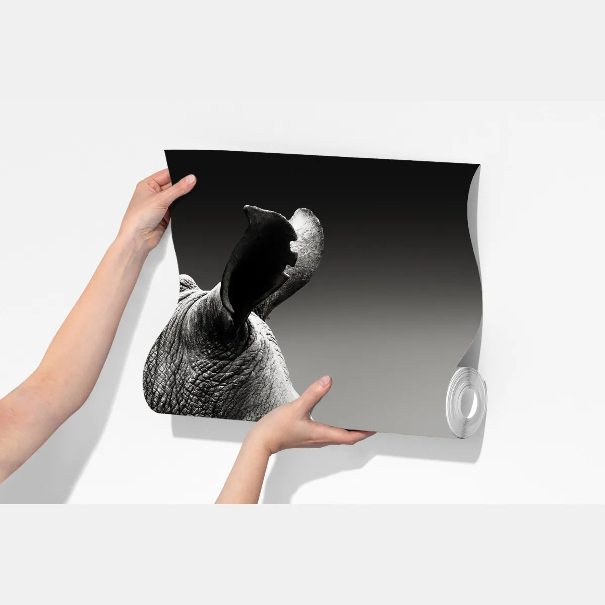 Fototapeta majestatyczny portret nosorożca – Wallissimo® Fototapeta majestatyczny portret nosorożca – Wallissimo®