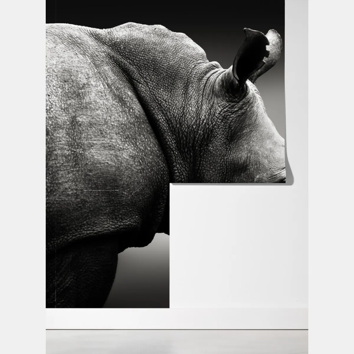 Fototapeta majestatyczny portret nosorożca – Wallissimo® Fototapeta majestatyczny portret nosorożca – Wallissimo®