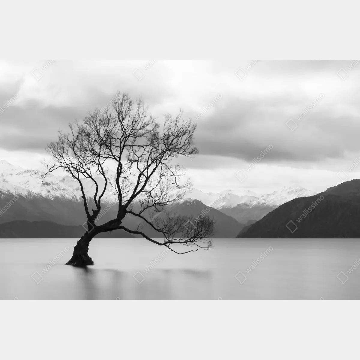 Fototapeta samotne drzewo na jeziorze – Wallissimo® Fototapeta samotne drzewo na jeziorze – Wallissimo®