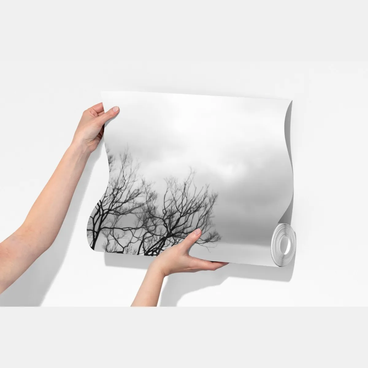 Fototapeta samotne drzewo na jeziorze – Wallissimo® Fototapeta samotne drzewo na jeziorze – Wallissimo®