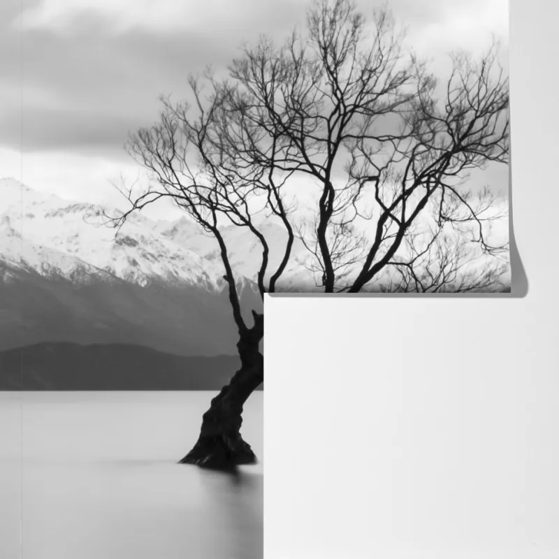 Fototapeta samotne drzewo na jeziorze – Wallissimo® Fototapeta samotne drzewo na jeziorze – Wallissimo®