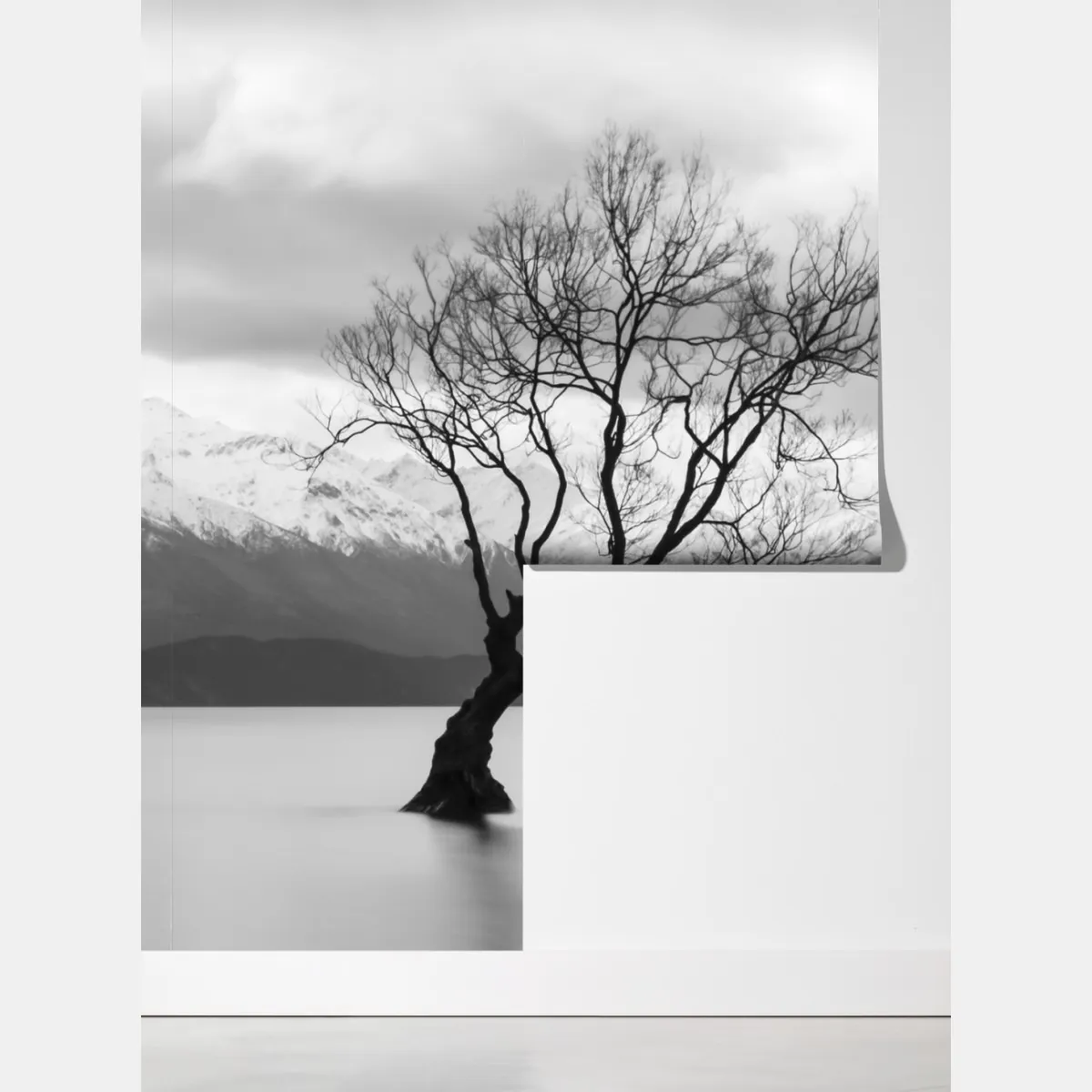 Fototapeta samotne drzewo na jeziorze – Wallissimo® Fototapeta samotne drzewo na jeziorze – Wallissimo®