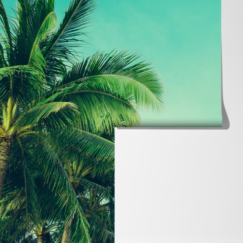 Fototapeta tropikalny baldachim palm pod turkusowym niebem – Wallissimo® Fototapeta tropikalny baldachim palm pod turkusowym niebem – Wallissimo®