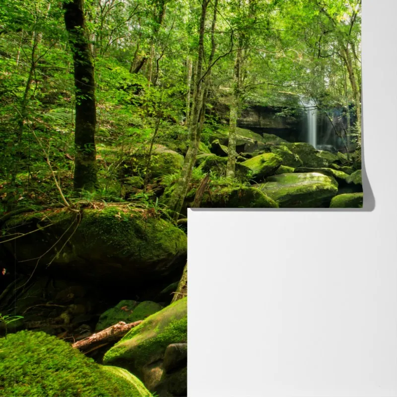 Fototapeta bujny mech i wodospad w tropikalnym lesie – Wallissimo® Fototapeta bujny mech i wodospad w tropikalnym lesie – Wallissimo®