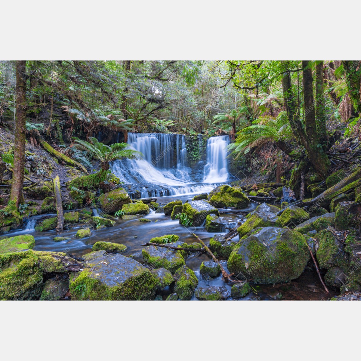 Fototapeta spokojny leśny wodospad – Wallissimo® Fototapeta spokojny leśny wodospad – Wallissimo®