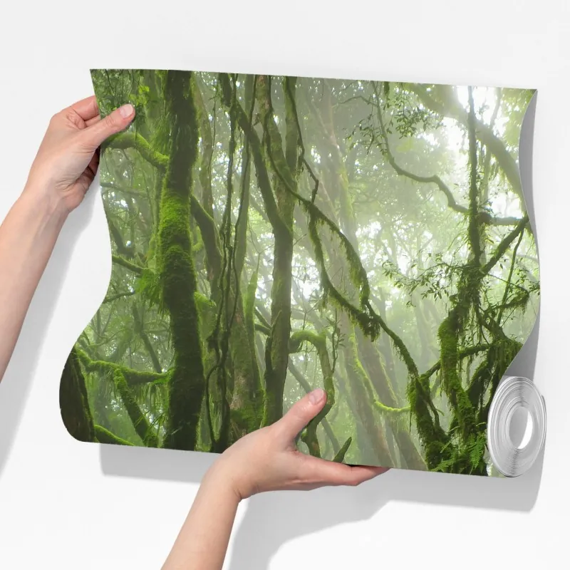 Fototapeta las ze strumieniem we mgle – Wallissimo® Fototapeta las ze strumieniem we mgle – Wallissimo®