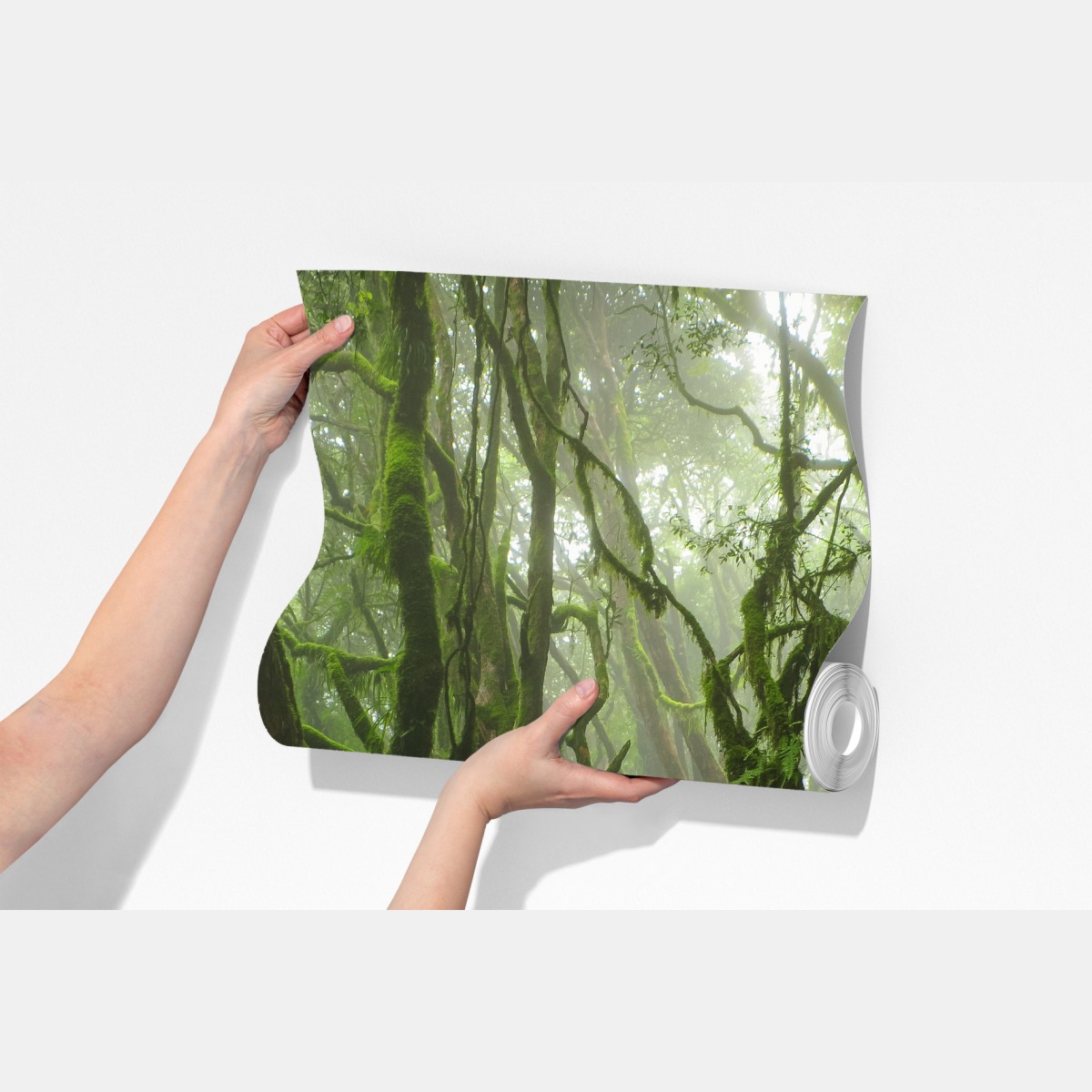 Fototapeta las ze strumieniem we mgle – Wallissimo® Fototapeta las ze strumieniem we mgle – Wallissimo®