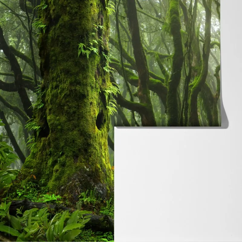 Fototapeta las ze strumieniem we mgle – Wallissimo® Fototapeta las ze strumieniem we mgle – Wallissimo®