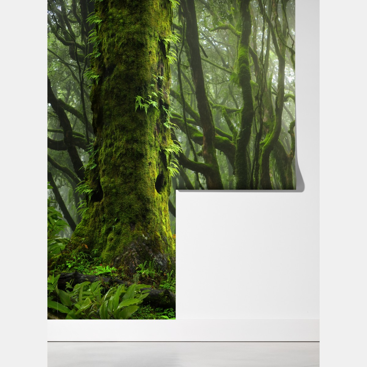 Fototapeta las ze strumieniem we mgle – Wallissimo® Fototapeta las ze strumieniem we mgle – Wallissimo®