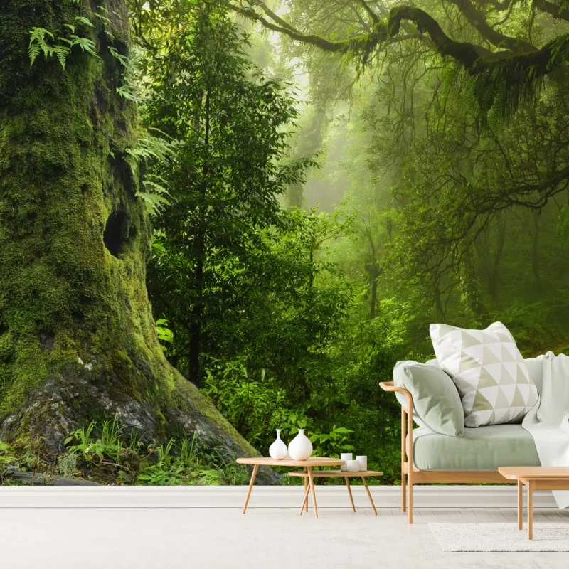 Fototapeta stara leśna ścieżka