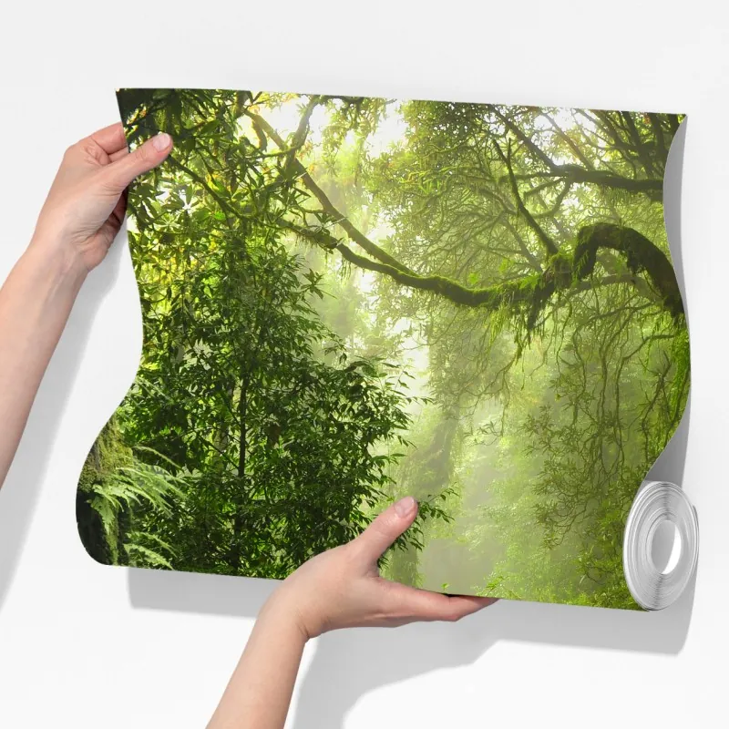 Fototapeta stara leśna ścieżka – Wallissimo® Fototapeta stara leśna ścieżka – Wallissimo®