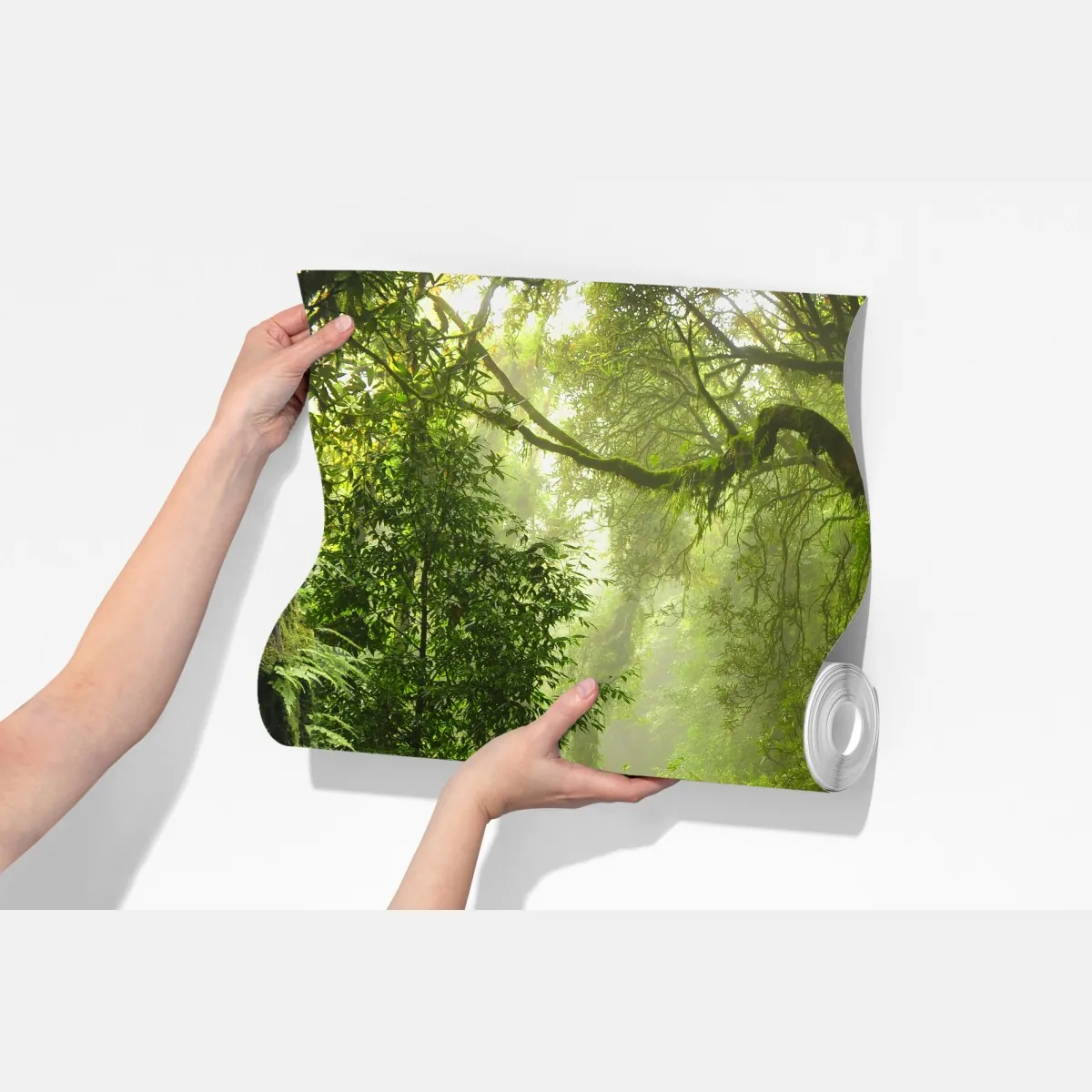 Fototapeta stara leśna ścieżka – Wallissimo® Fototapeta stara leśna ścieżka – Wallissimo®