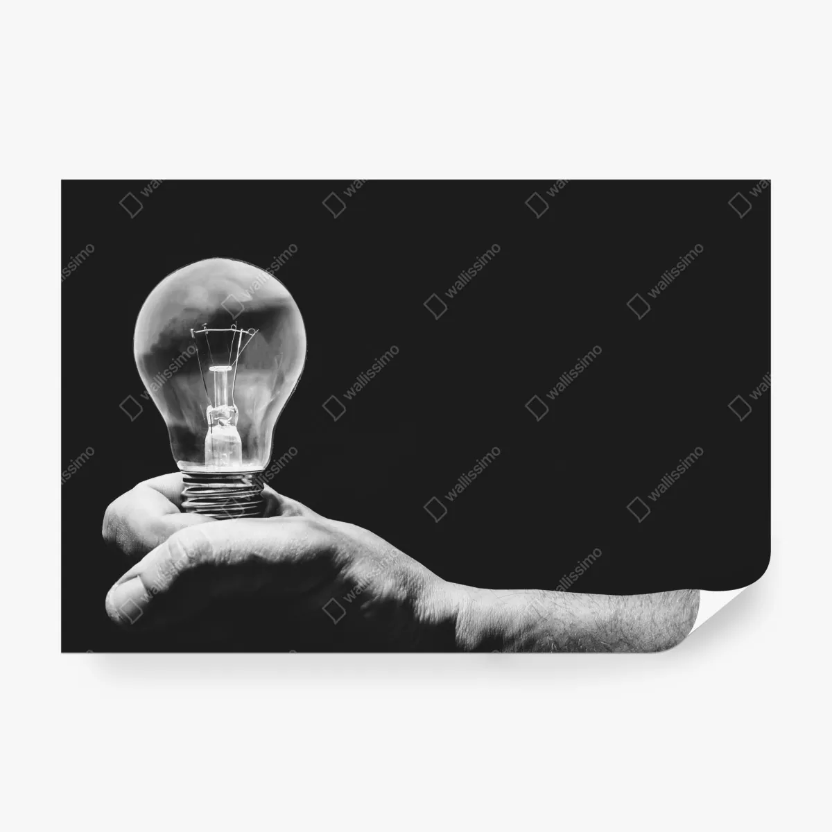 Fototapeta monochromatyczna ręka trzymająca żarówkę – Wallissimo® Fototapeta monochromatyczna ręka trzymająca żarówkę – Wallissimo®