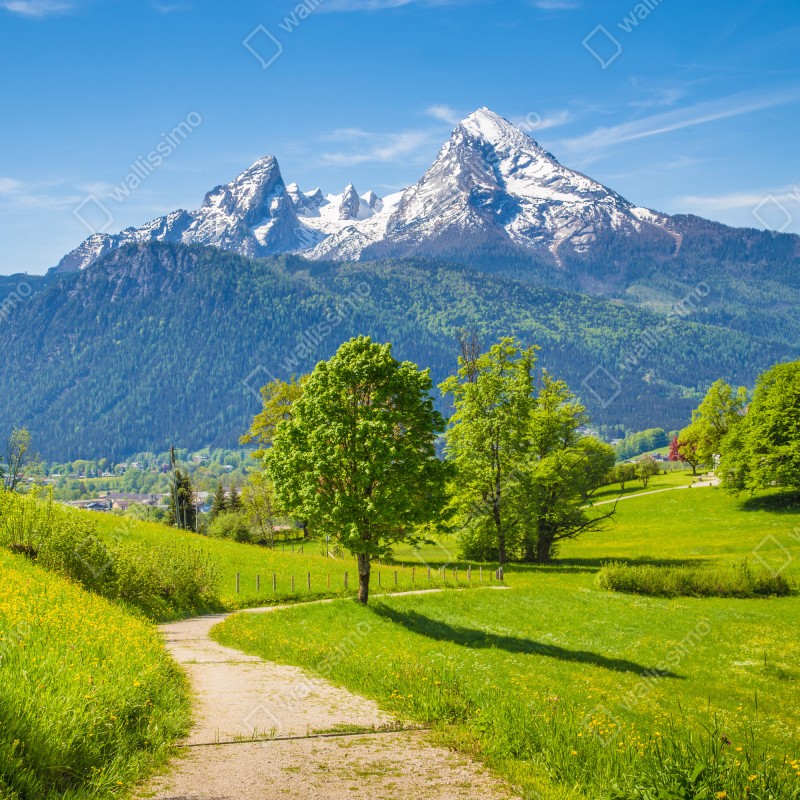 Fototapeta spokojna alpejska łąka z górskimi szczytami – Wallissimo® Fototapeta spokojna alpejska łąka z górskimi szczytami – Wallissimo®