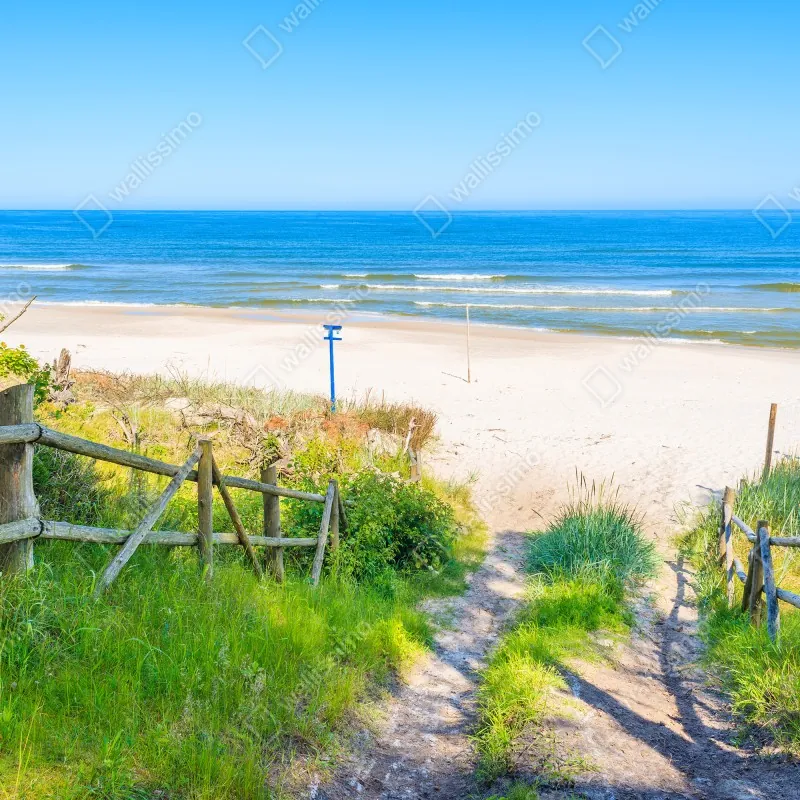 Fototapeta ścieżka na plażę nad Morzem Bałtyckim – Wallissimo® Fototapeta ścieżka na plażę nad Morzem Bałtyckim – Wallissimo®