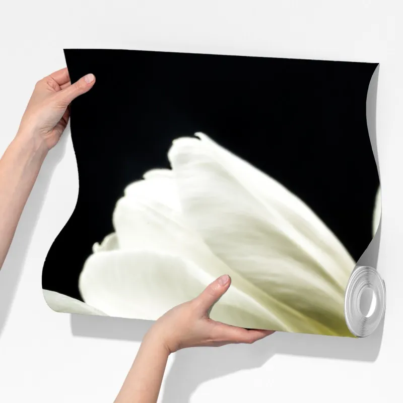 Fototapeta eleganckie białe tulipany na czarnym tle – Wallissimo® Fototapeta eleganckie białe tulipany na czarnym tle – Wallissimo®