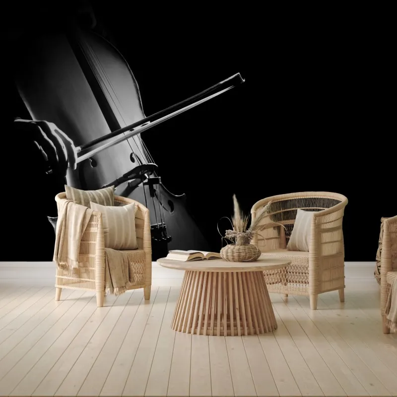 Fototapeta elegancka wiolonczela czarno-biała