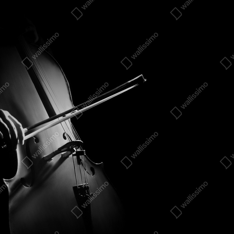 Fototapeta elegancka wiolonczela czarno-biała – Wallissimo® Fototapeta elegancka wiolonczela czarno-biała – Wallissimo®